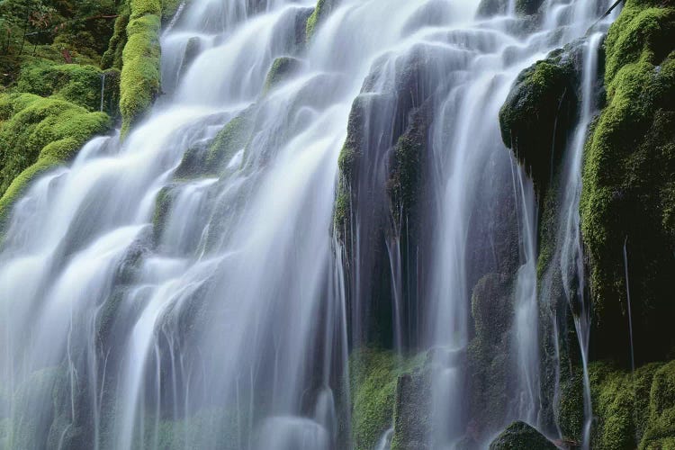 USA, Oregon, Willamette National Forest, Three Sisters Wilderness, Upper Proxy Falls