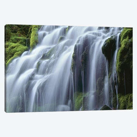 USA, Oregon, Willamette National Forest, Three Sisters Wilderness, Upper Proxy Falls Canvas Print #JBG1} by John Barger Canvas Artwork