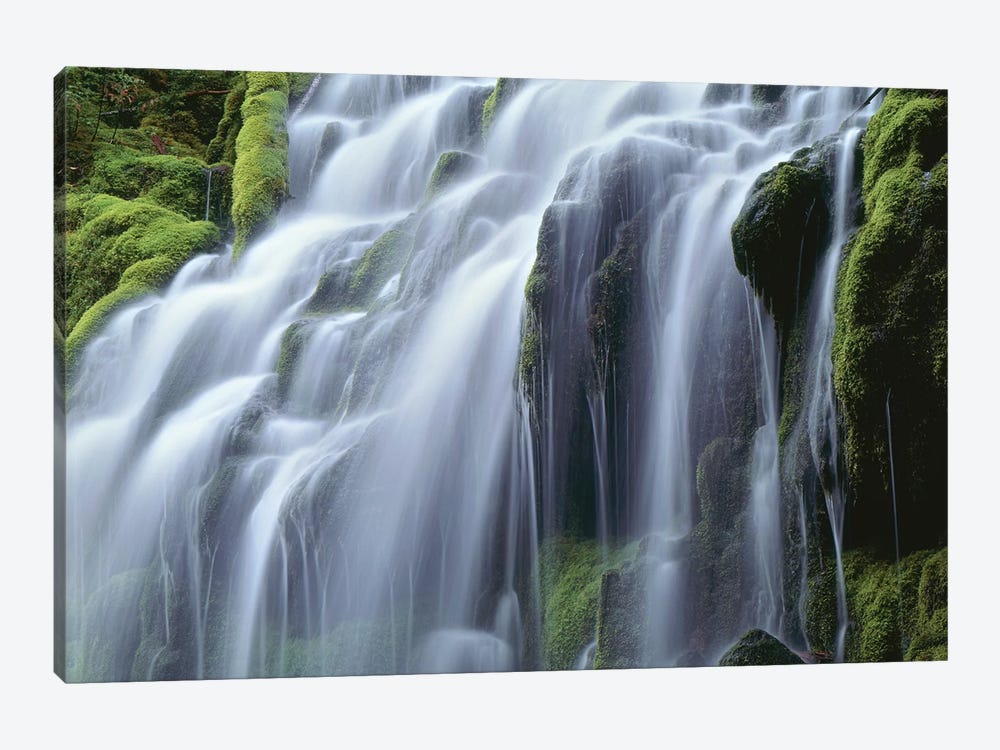 USA, Oregon, Willamette National Forest, Three Sisters Wilderness, Upper Proxy Falls by John Barger 1-piece Canvas Print