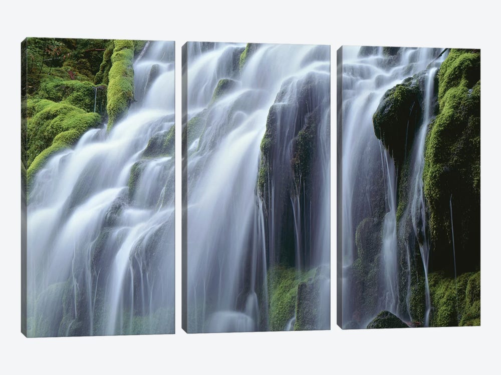 USA, Oregon, Willamette National Forest, Three Sisters Wilderness, Upper Proxy Falls by John Barger 3-piece Art Print