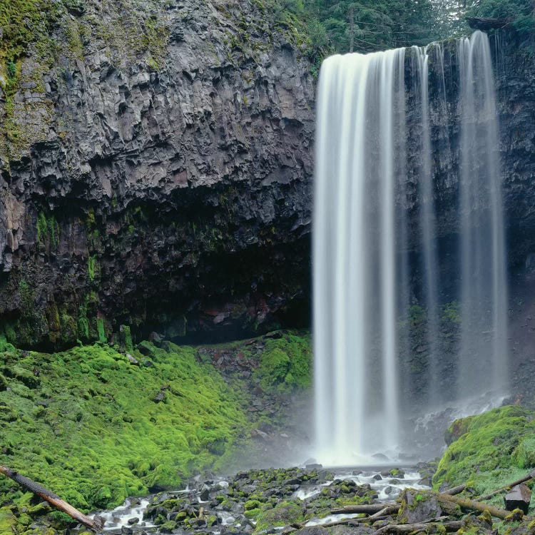 Oregon. Mount Hood NF, Tamanawas Falls with moss-covered rocks at it's base is formed