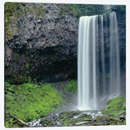 Oregon. Mount Hood NF, Tamanawas Falls with moss-covered rocks at it's base is formed Canvas Print #JBG20} by John Barger Canvas Artwork