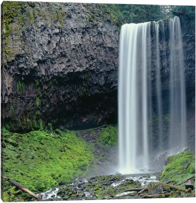 Oregon. Mount Hood NF, Tamanawas Falls with moss-covered rocks at it's base is formed Canvas Art Print - Oregon Art