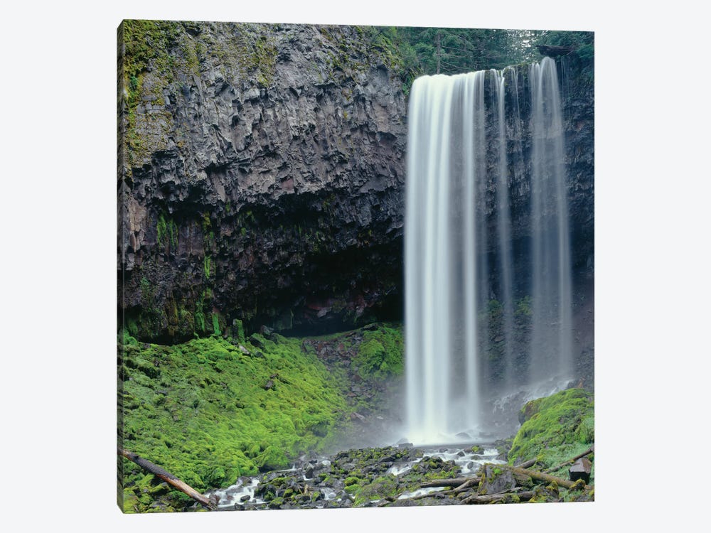 Oregon. Mount Hood NF, Tamanawas Falls with moss-covered rocks at it's base is formed by John Barger 1-piece Canvas Artwork