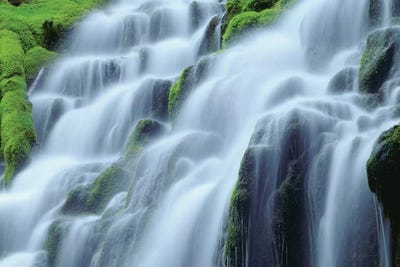 Oregon. Willamette NF, Mount Washington rises beyond autumn-colored huckleberry and Big Lake. by John Barger framed canvas print