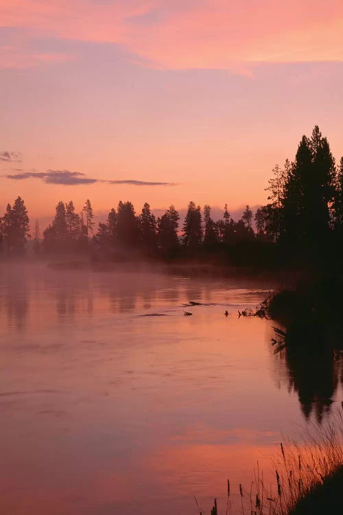 USA, Oregon, Deschutes National Forest. Fog hovers above the Deschutes River at sunrise.