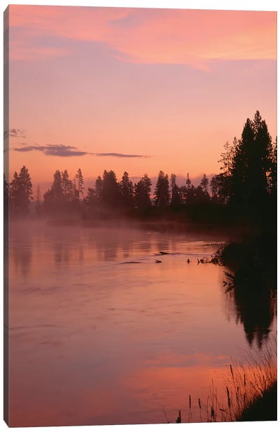 USA, Oregon, Deschutes National Forest. Fog hovers above the Deschutes River at sunrise. Canvas Art Print