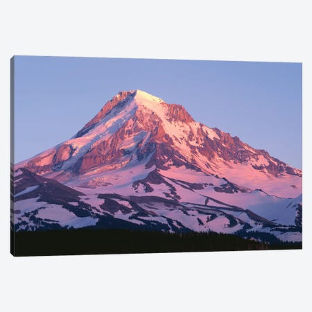 USA, Oregon, Mount Hood National Forest. Sunset light on north side of Mound Hood in early summer. Canvas Print #JBG28} by John Barger Canvas Art