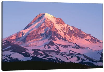 USA, Oregon, Mount Hood National Forest. Sunset light on north side of Mound Hood in early summer. Canvas Art Print