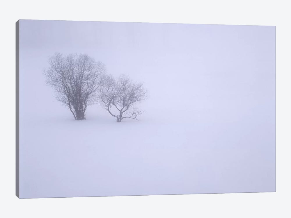 USA, Oregon, Wallowa Lake State Park. Winter snow and fog among small trees. by John Barger 1-piece Canvas Print