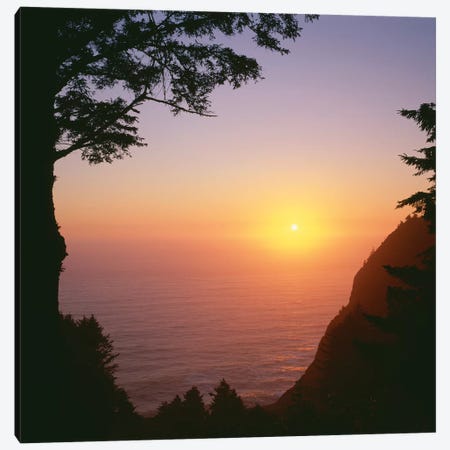 USA, Oregon. Oswald West State Park, summer sunset viewed from below Neahkanie Mountain. Canvas Print #JBG33} by John Barger Canvas Print