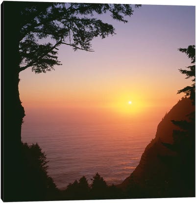 USA, Oregon. Oswald West State Park, summer sunset viewed from below Neahkanie Mountain. Canvas Art Print