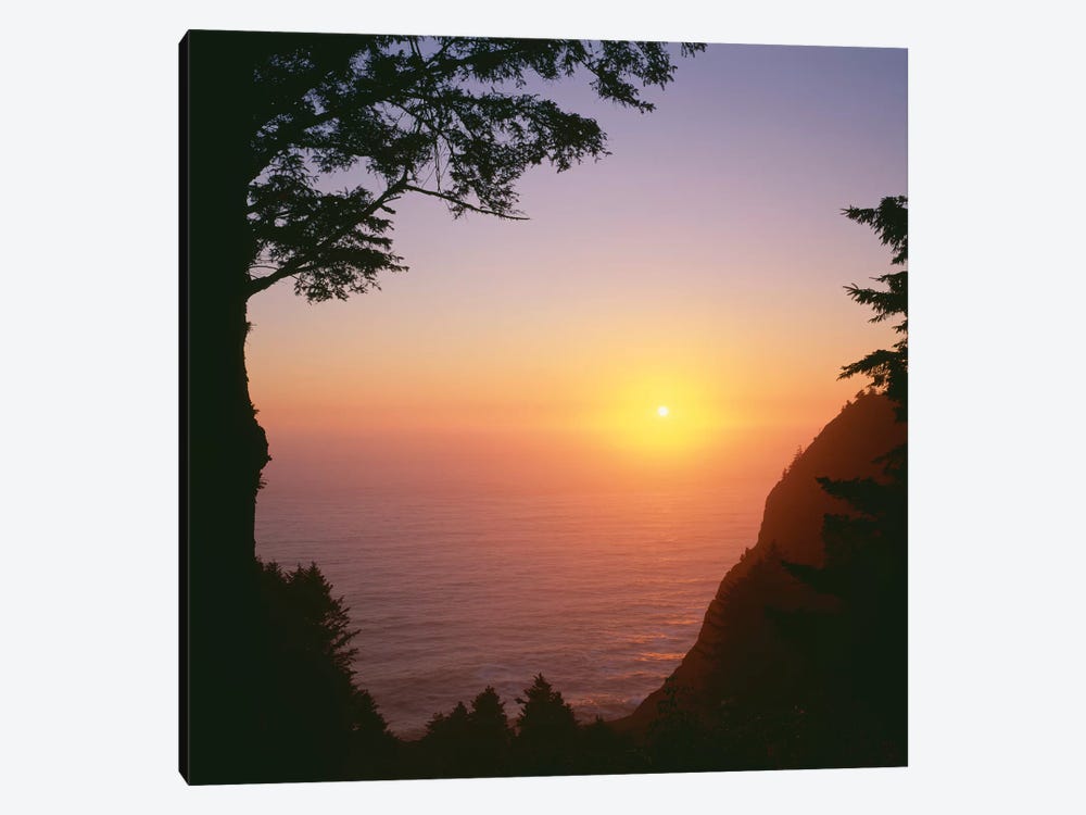 USA, Oregon. Oswald West State Park, summer sunset viewed from below Neahkanie Mountain. by John Barger 1-piece Canvas Artwork
