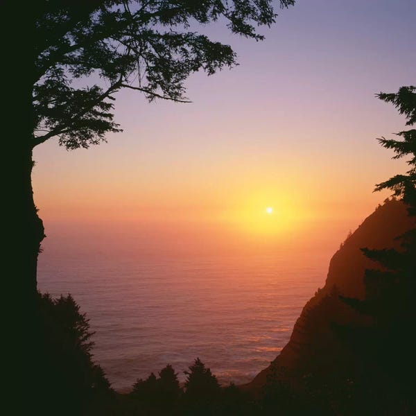 Oregon: USA, Oregon. Oswald West State Park, summer sunset viewed from below Neahkanie Mountain. by John Barger