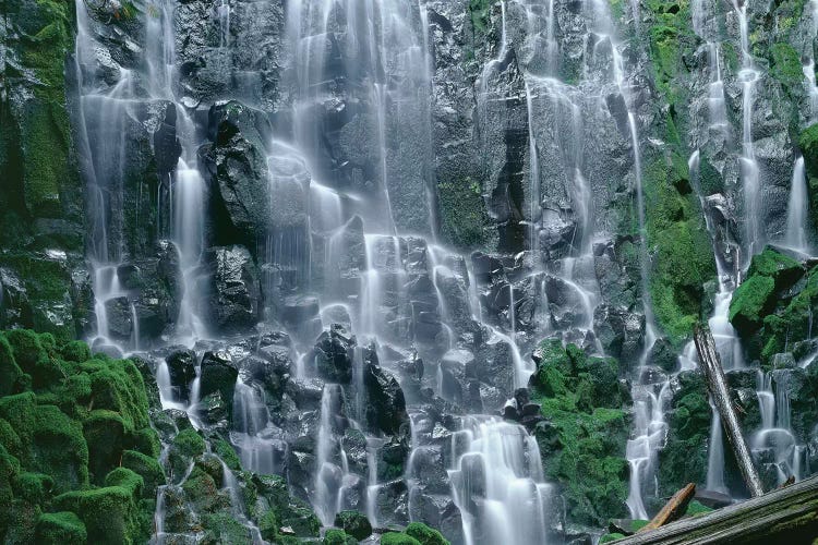 OR, Mount Hood NF. Mount Hood Wilderness, Ramona Falls is formed by a small creek