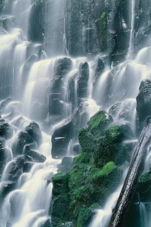 OR, Mount Hood NF. Mount Hood Wilderness, Ramona Falls is formed by a small creek