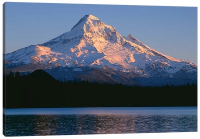 OR, Mount Hood NF. Sunset light on north side of Mount Hood with first snow of autumn Canvas Art Print - Mount Hood Art