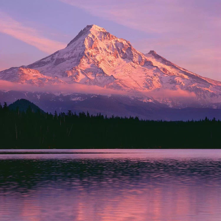 OR, Mount Hood NF. Sunset light reddens north side of Mount Hood with first snow by John Barger wall art
