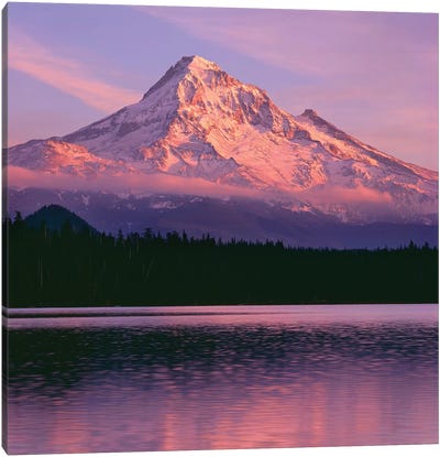 OR, Mount Hood NF. Sunset light reddens north side of Mount Hood with first snow Canvas Art Print - Cascade Range Art
