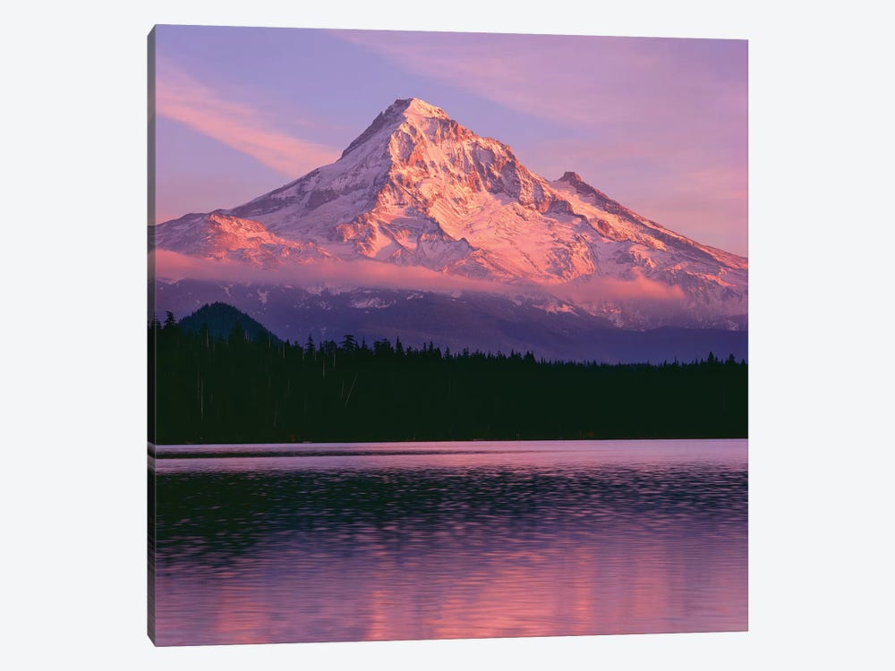 OR, Mount Hood NF. Sunset light reddens north side of Mount Hood with first snow by John Barger 1-piece Canvas Wall Art