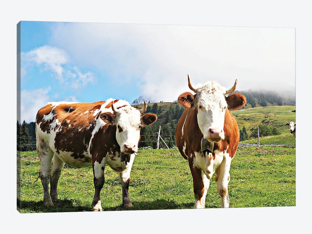 Country Cows by JB Hyler 1-piece Canvas Wall Art