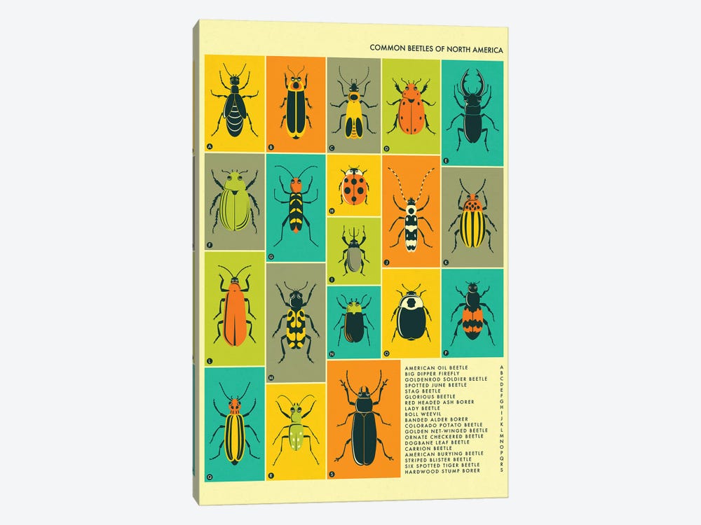 Common Beetles Of North America by Jazzberry Blue 1-piece Canvas Artwork