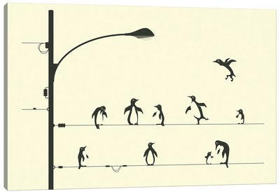 Penguins On A Wire Canvas Art Print - Penguin Art