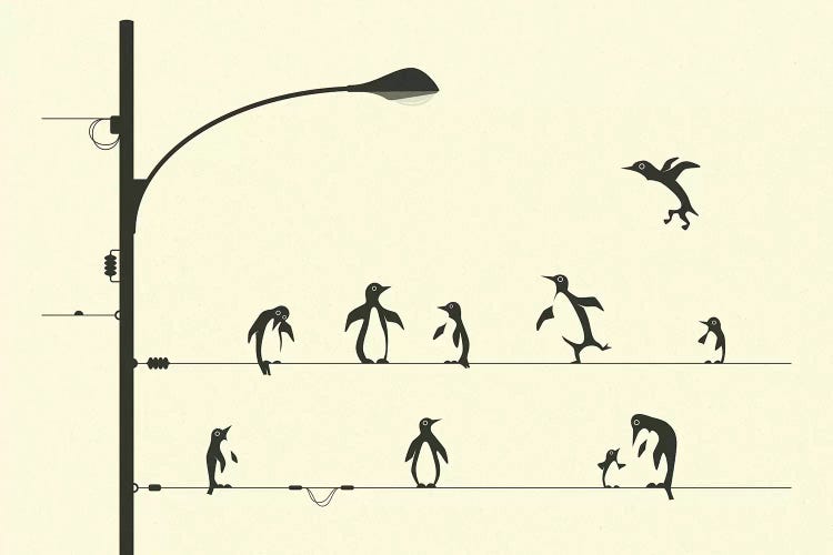 Penguins On A Wire