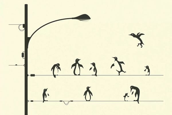 Penguins: Penguins On A Wire by Jazzberry Blue