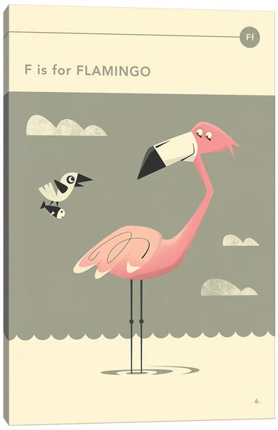 F Is For Flamingo  Canvas Art Print - Jazzberry Blue