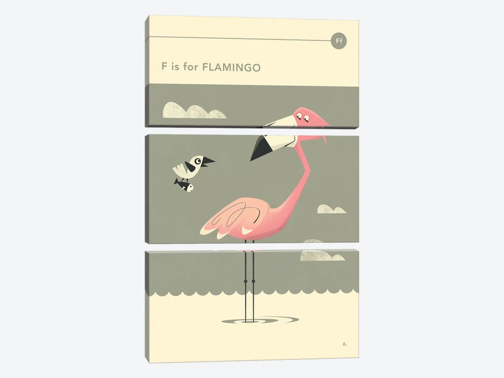 F Is For Flamingo  by Jazzberry Blue 3-piece Canvas Print