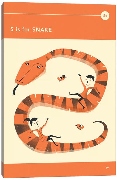 S Is For Snake  Canvas Art Print - Reptile & Amphibian Art
