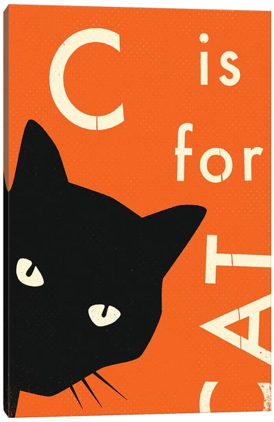 C For Cat I Canvas Art Print - Kids Educational Art