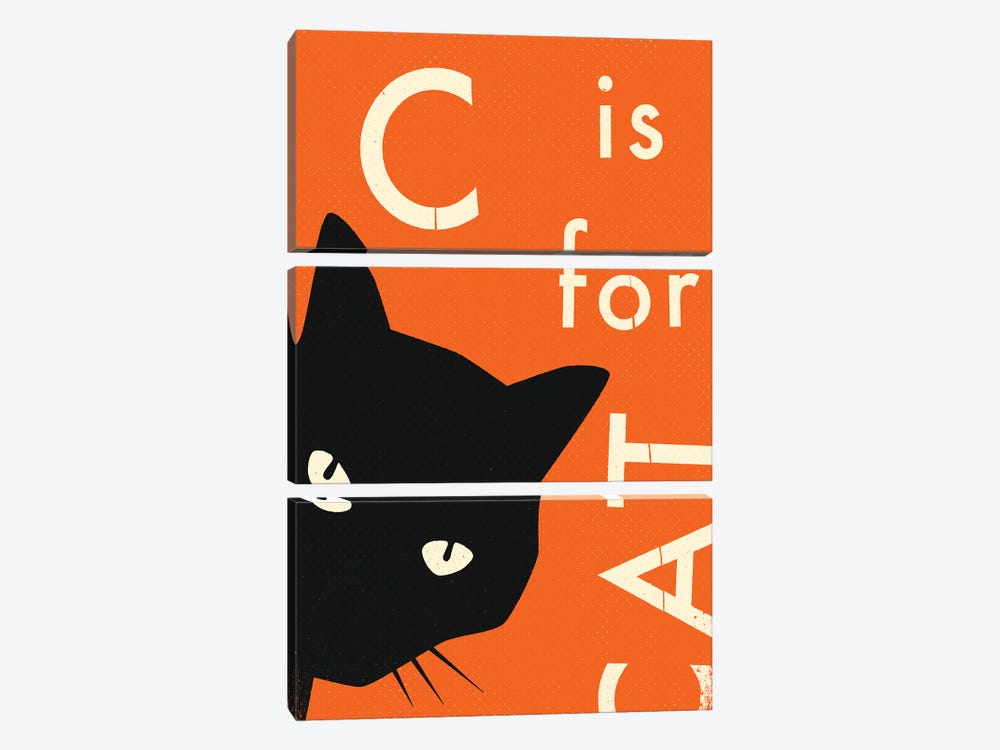 C For Cat I by Jazzberry Blue 3-piece Canvas Wall Art
