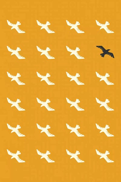 Jazzberry Blue: Flock by Jazzberry Blue