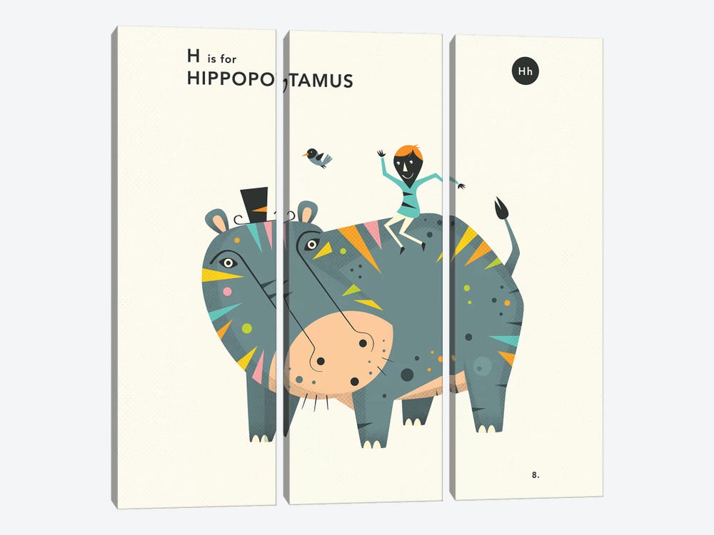 H Is For Hippo  II by Jazzberry Blue 3-piece Canvas Artwork