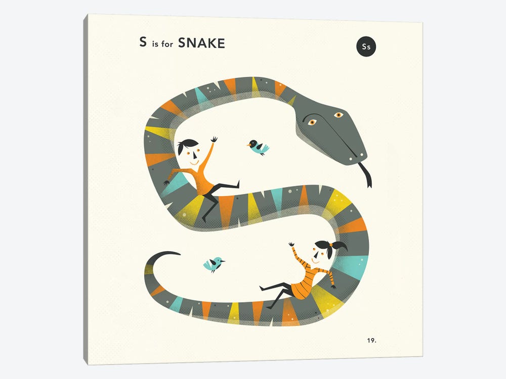 S Is For Snake II by Jazzberry Blue 1-piece Canvas Art Print