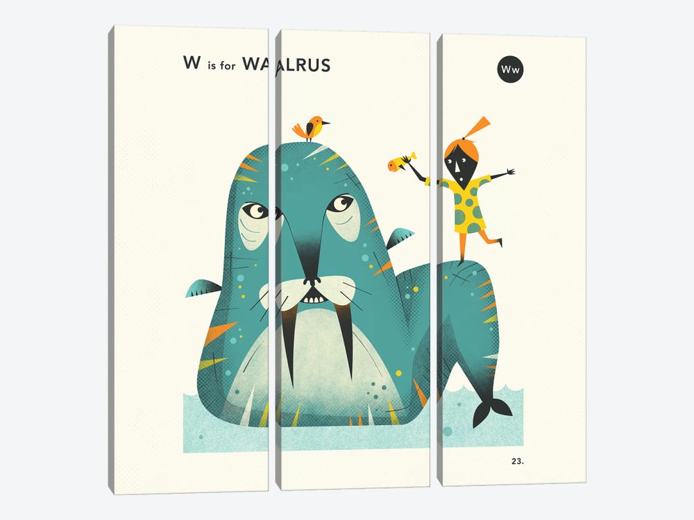 W Is For Walrus II by Jazzberry Blue 3-piece Canvas Art Print