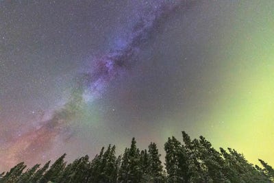 Scenic & Landscape Art - Canvas Prints: Aurora Borealis VI, Whitehorse, Yukon, Canada. by Joseph Bradley