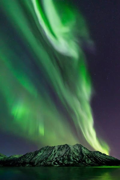 Yukon: Aurora Borealis VIII, Whitehorse, Yukon, Canada. by Joseph Bradley