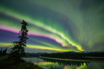 Scenic & Landscape Art - Canvas Prints: Aurora Borealis IX, Whitehorse, Yukon, Canada. by Joseph Bradley