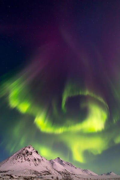 Scenic & Landscape Art - Canvas Prints: Aurora Borealis II, Dempster Highway, Yukon, Canada. by Joseph Bradley