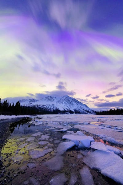 Scenic & Landscape Art - Canvas Prints: Aurora Borealis, Kathleen Lake, Yukon, Canada. by Joseph Bradley