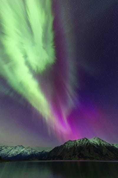 Scenic & Landscape Art - Canvas Prints: Aurora Borealis II, Kluane Lake, Yukon, Canada. by Joseph Bradley