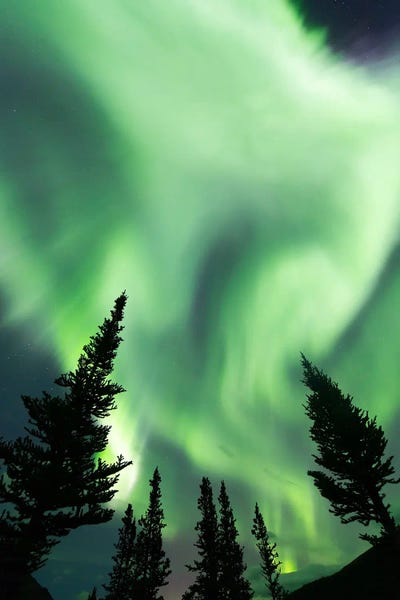 Scenic & Landscape Art - Canvas Prints: Aurora Borealis, South Canol Road, Yukon, Canada. by Joseph Bradley