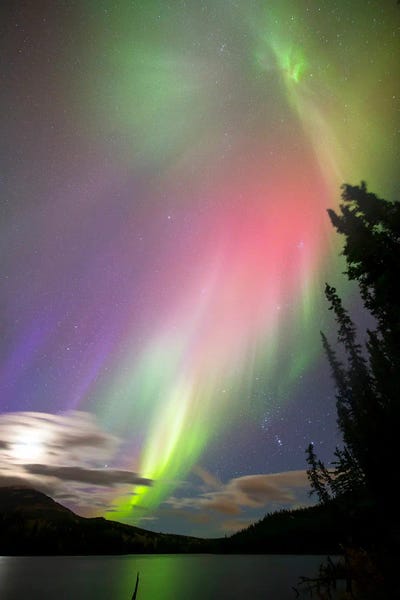 Scenic & Landscape Art - Canvas Prints: Aurora Borealis II, Whitehorse, Yukon, Canada. by Joseph Bradley