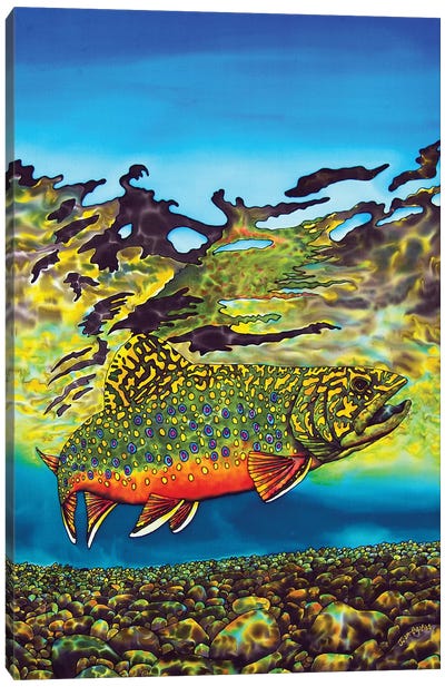 Brook Trout Canvas Art Print - Sea Life Art