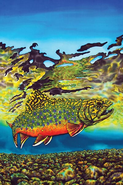 Trout: Brook Trout by Daniel Jean-Baptiste