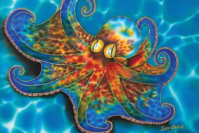 Caribbean Octopus by Daniel Jean-Baptiste framed canvas print