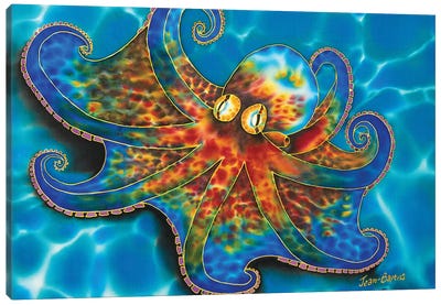Caribbean Octopus Canvas Art Print - Octopus Art
